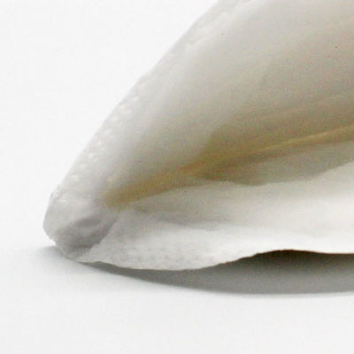 Overflow Bernapas CE SGS ECO Bantalan Perawatan Kain Non Woven