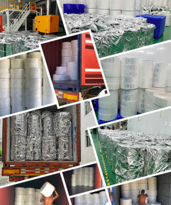 Spunbond PE Film 12g PP Spunbond Nonwoven Fabric Hygiene Industri
